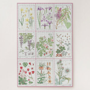 Maurice Pillard Verneuil Botanical Illustrations 1 Jigsaw Puzzle