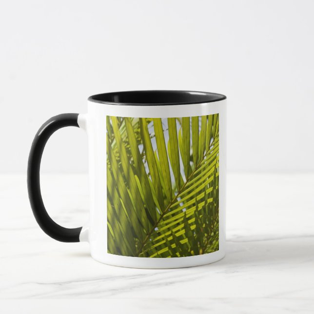 Mauritius, Central Mauritius, Moka, palm 2 Mug (Left)