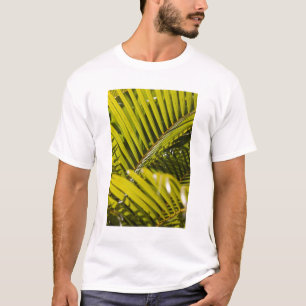 Mauritius, Central Mauritius, Moka, palm T-Shirt
