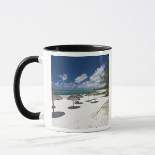 Mauritius, Eastern Mauritius, Belle Mare, Mug