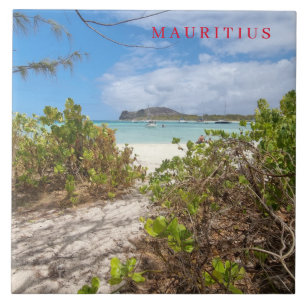 Mauritius Ilot Gabriel beach view ceramic tile