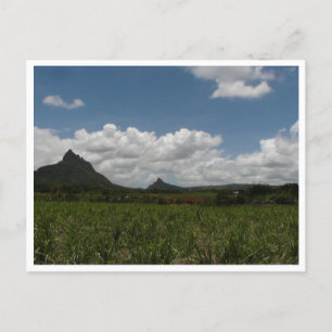 Mauritius / Maurice Postcard