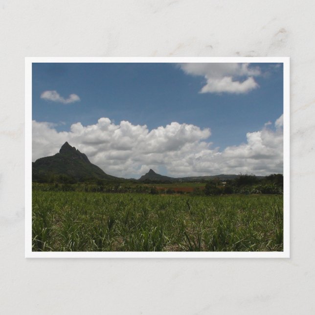 Mauritius / Maurice Postcard (Front)