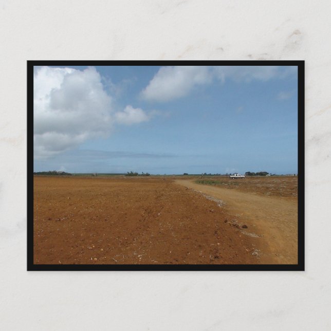 Mauritius / Maurice Postcard (Front)