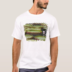 Mauritius, Pamplemousses, SSR Botanical T-Shirt