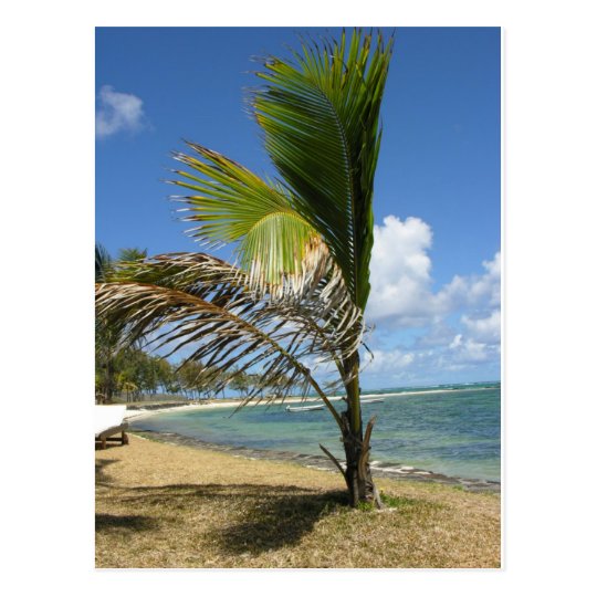 Mauritius Postcard