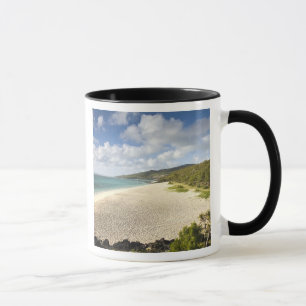 Mauritius, Rodrigues Island, St. Francois, St. Mug