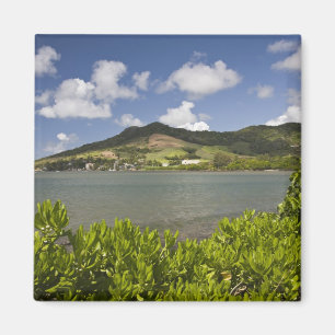 Mauritius, Southern Mauritius, Grand Sable, Magnet
