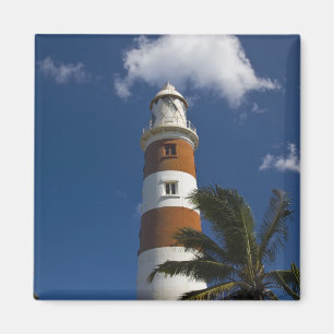 Mauritius, Western Mauritius, Belle Vue, Albion Magnet