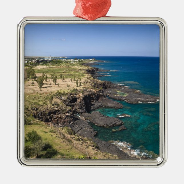 Mauritius, Western Mauritius, Belle Vue, Ocean Metal Tree Decoration (Front)