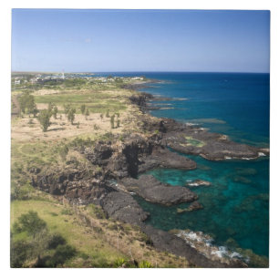 Mauritius, Western Mauritius, Belle Vue, Ocean Tile