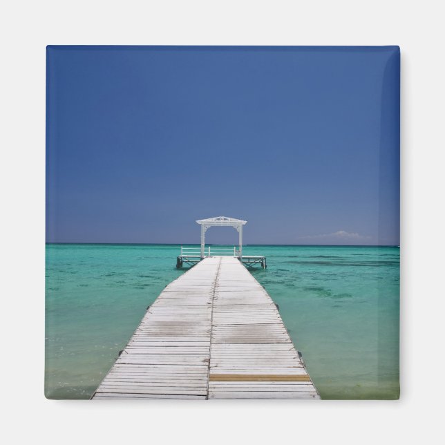 Mauritius, Western Mauritius, Le Morne 2 Magnet (Front)