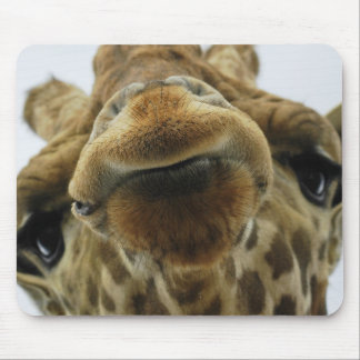 Mauspad Giraffe Kuss Mouse Mat