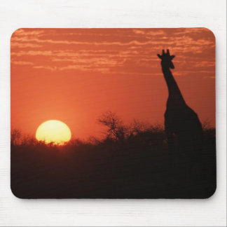 Mauspad Giraffe Mouse Mat