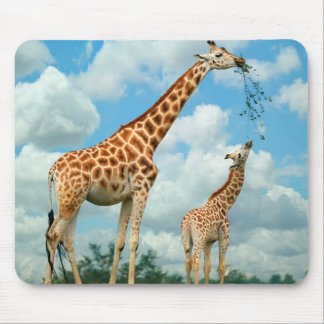 Mauspad Giraffen Mouse Mat
