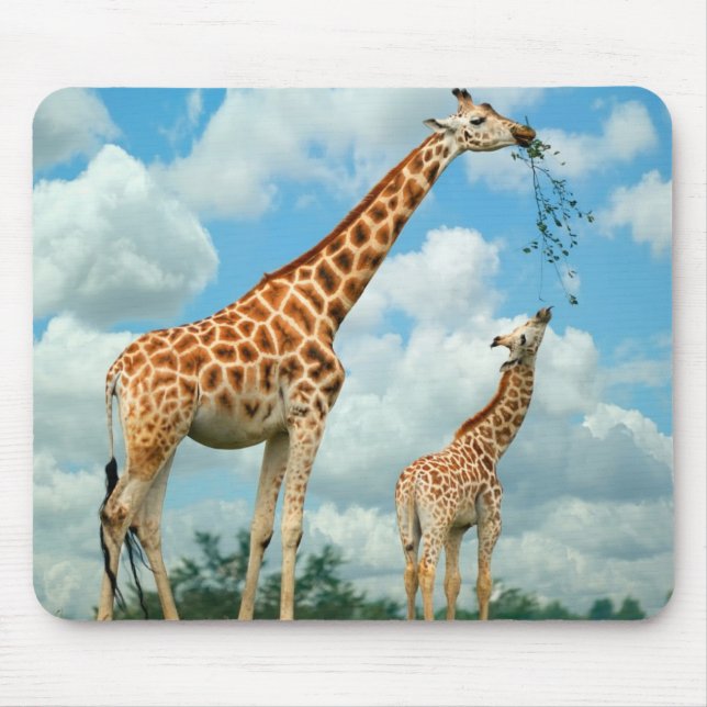 Mauspad Giraffen Mouse Mat (Front)