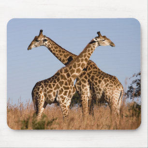 Mauspad Giraffen Mouse Mat