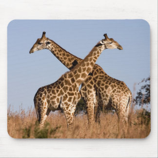 Mauspad Giraffen Mouse Mat