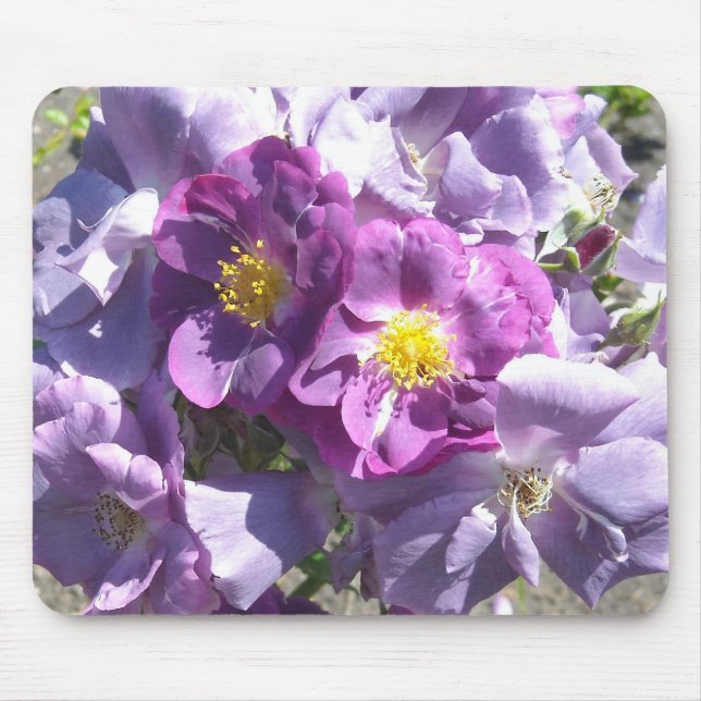 Mauve Roses Mouse Mat (Front)