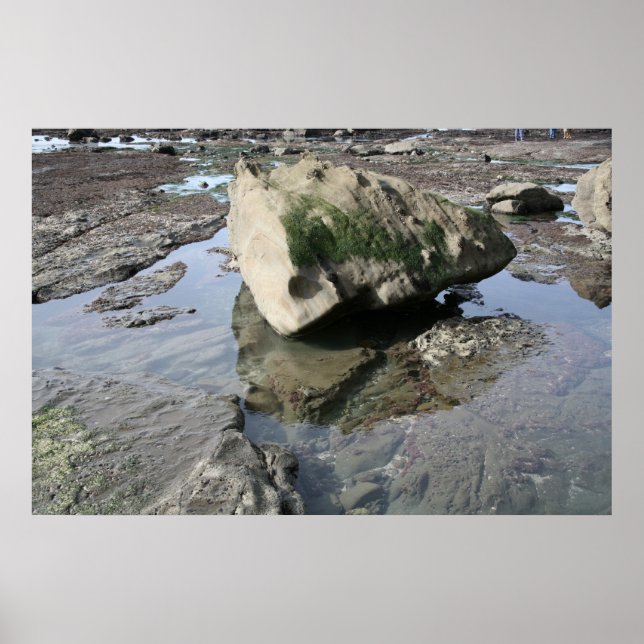 Mavericks Poster (Front)