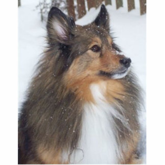 Max_1997_-_2009 Standing Photo Sculpture