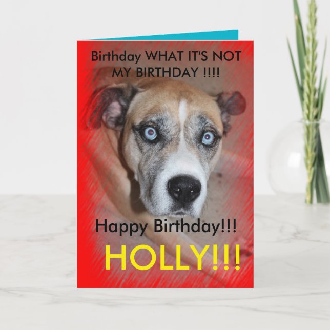 Max Cool Pet Dog Birthday Card (Front)