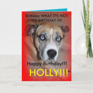 Max Cool Pet Dog Birthday Card