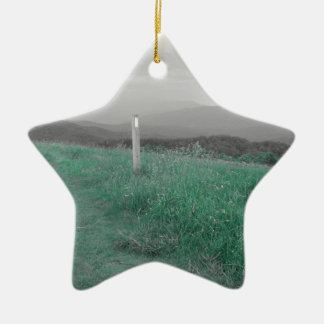 Max Patch Ceramic Tree Decoration