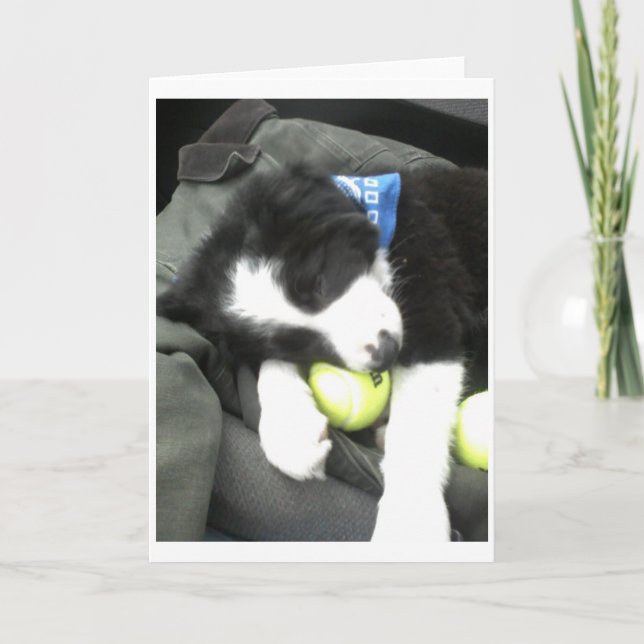 Max pup card (Front)