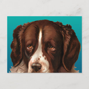 Max the Big Dog Postcard