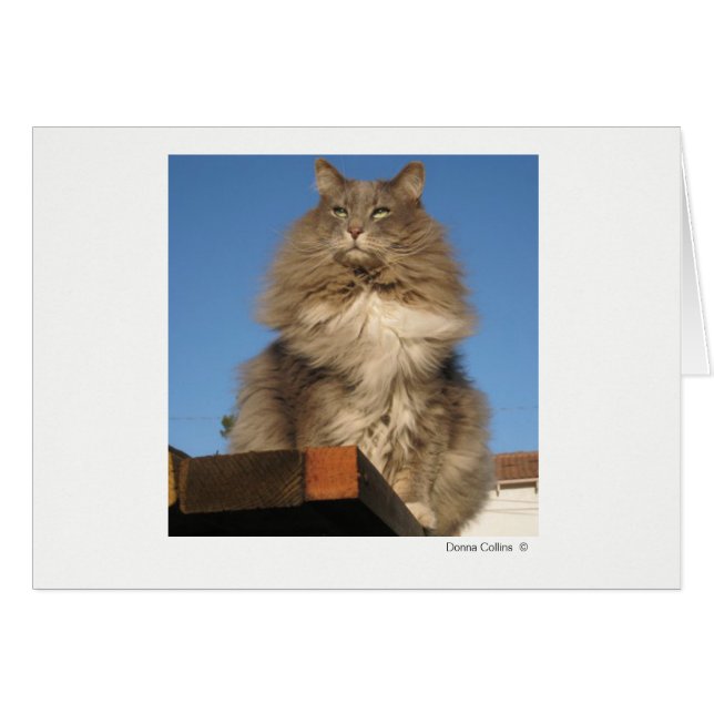 Max the Cat   #-4 (Front Horizontal)