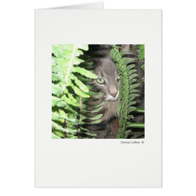 Max the Cat #6 (Front)