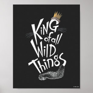 Max   The King of All Wild Things Poster