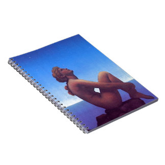 "Maxfield Parrish Stars" Notebook