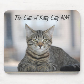 Maximiano 1, The Cats of Kitty City NM Mouse Mat