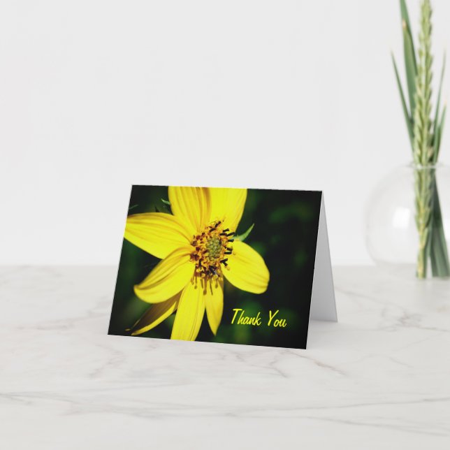 Maximilian Sunflower Flower Thank You Card (Front)