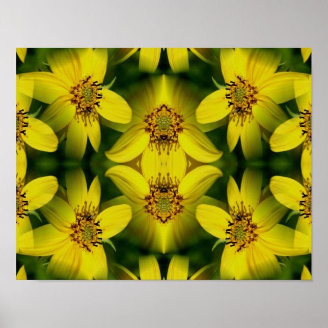 Maximillian Sunflower Abstract         Poster (Front)