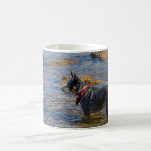 "Maximus" Blue Heeler Coffee Mug 