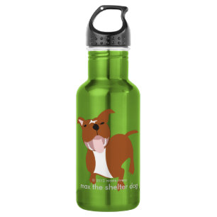 Max's Stay Hydrated Stainless Steel Water Bottle