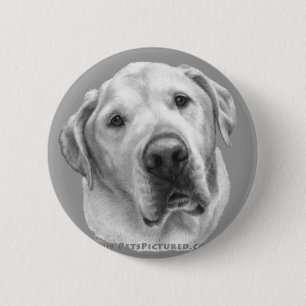 Maxwell, Lab-Pitbull Mix 6 Cm Round Badge