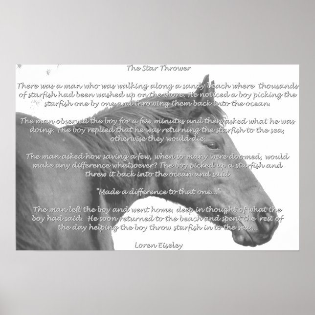 Maxx Starfish Poster (Front)