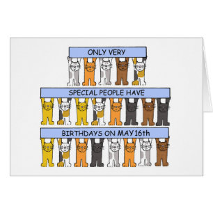 May 16th Birthday, Cartoon Cats.