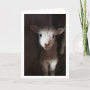 MAY BE A BABY  BUT I CAN SAY **MERRY CHRISTMAS** CARD