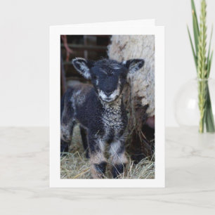 MAY BE A "KID" BUT I CAN SAY **MERRY CHRISTMAS** CARD