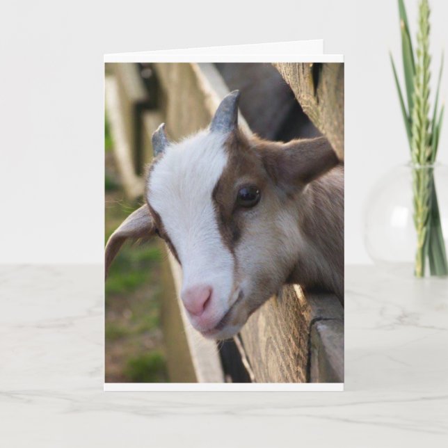 MAY BE A "KID" BUT I CAN SAY **MERRY CHRISTMAS** CARD (Front)