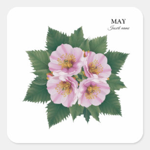 May Birthday Hawthorn Bloom: Personalized Floral Square Sticker