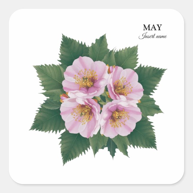 May Birthday Hawthorn Bloom: Personalized Floral Square Sticker (Front)