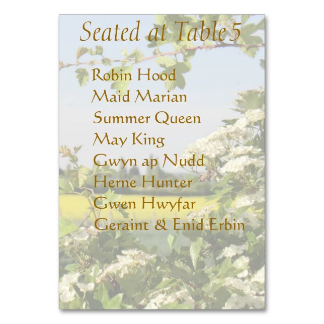 May Blossom Handfasting Table Card with Guest List (Back)