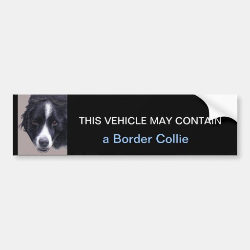 Image of may contain a Border Collie Bumper Sticker