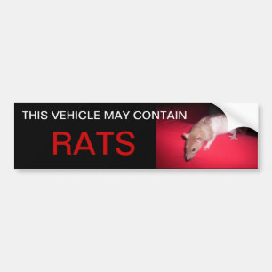 may contain rats bumper sticker